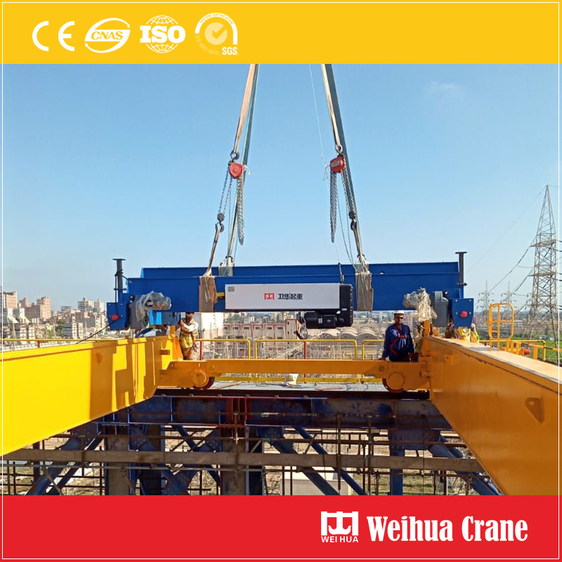 europe-hoist-trolley-installation