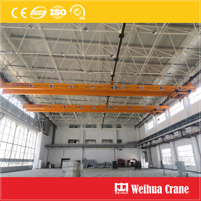 Multi-Point Suspension Crane