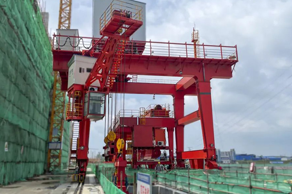 Weihua Cranes for Water Conservancy Project