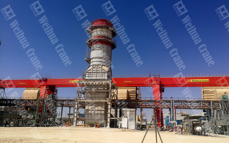 egypt-installation-gantry-crane